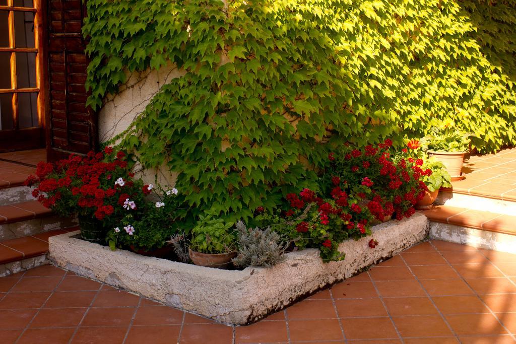 Bed and Breakfast Casa Del Falso Pepe - Scala Dei Turchi Realmonte Exterior foto